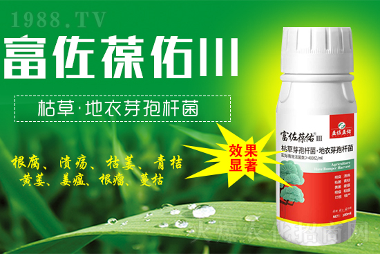 2022年4月19日福美鋅農藥價格