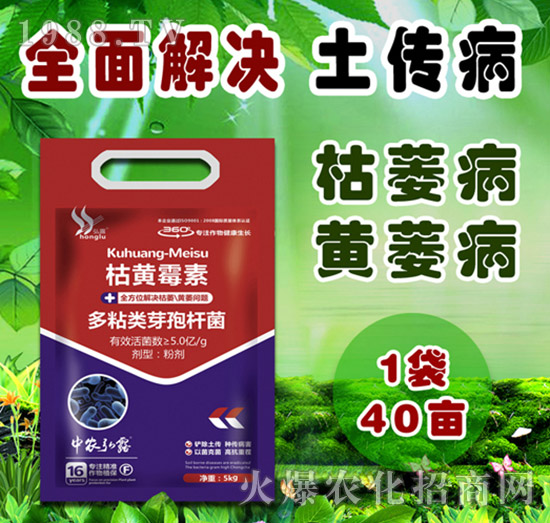     細(xì)菌性病害有哪些？防治藥劑怎么選？一篇文章說明白