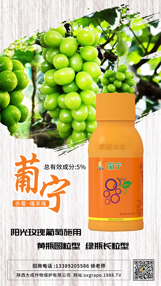 ������α����������p�ٴ�С�����@Щ�����ஔ��Ҫ��