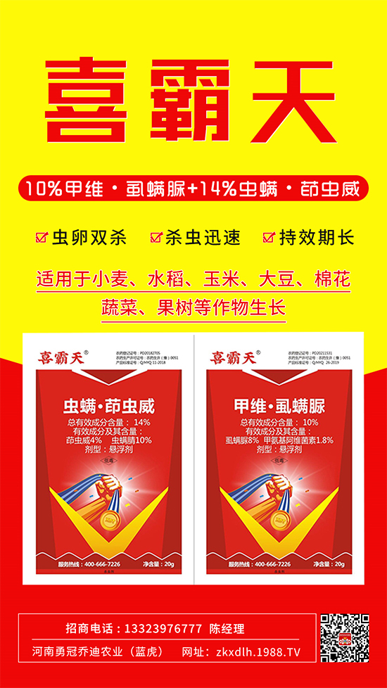 С�˶��������xΣ����̫�y���@����ˎ��һ��һ��(g��)��(zh��n)!