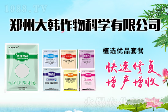 作物藥害肥害頻發(fā)怎么辦？發(fā)生藥害肥害如何補(bǔ)救？