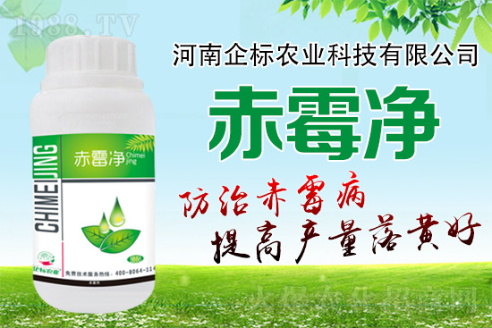 緊急提醒：未來十天是小麥赤霉病防治關(guān)鍵期！務(wù)必抓??！