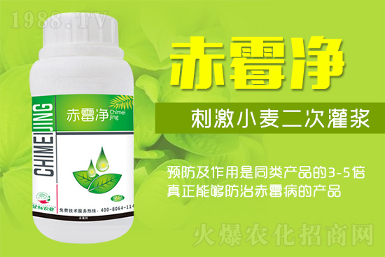 緊急提醒：未來十天是小麥赤霉病防治關(guān)鍵期！務(wù)必抓??！