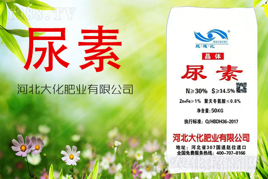 尿素到底能不能做葉面肥？怎么用？