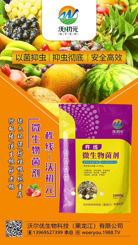 作物的根系，決定作物的產(chǎn)量