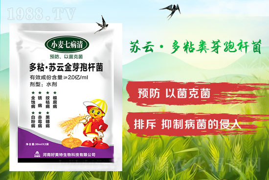 四月小麥赤霉病多發(fā)，不要錯過防治時間！