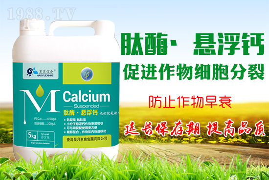 �O���仨���a�}���P(gu��n)�I���O���a�}���Ă��`�^(q��)��֪������