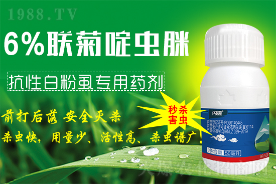 ϲ��(b��o)��1988.TVϲӭ���������̎��r(n��ng)�I(y��)��(qi��ng)��(sh��)��(l��i)�u��