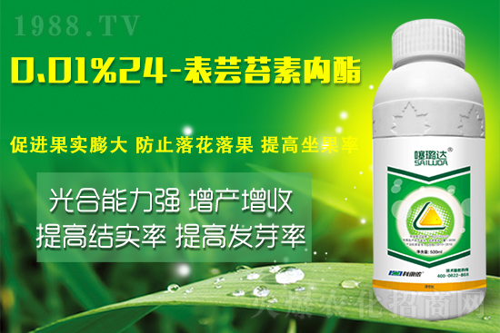 蕓苔素內(nèi)酯竟然有這么多作用！這樣搭配解決膨果增產(chǎn)難題！