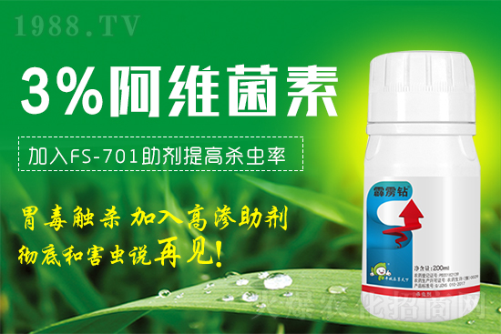 �@���x�����x���t֩�롢���x�β����������@��(g��)���䷽