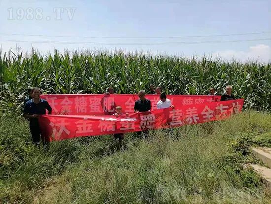     �@�����۷��r(n��ng)�YȦ������ԭ����Ȼ���ͳɱ��߷�Ч�_��(chu��ng)�ߣ�