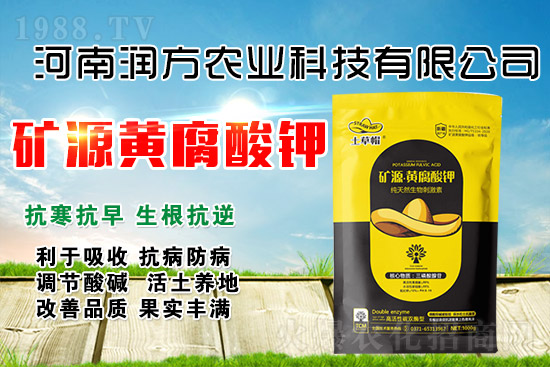 礦源黃腐酸鉀為什么牛?怎么用才能效果翻倍?