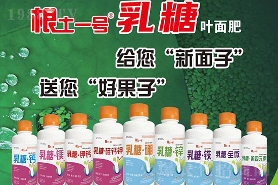 獼猴桃需肥特點(diǎn)有哪些?獼猴桃膨大肥怎么施