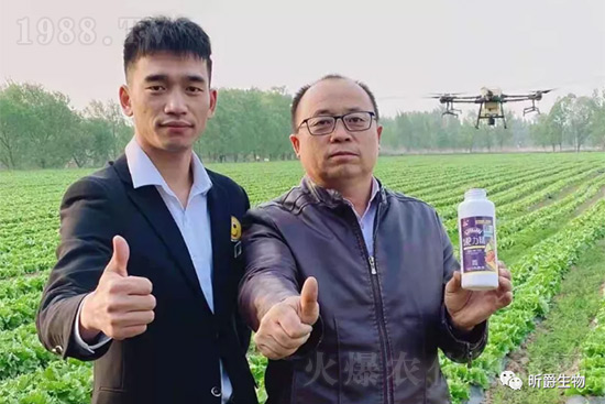 玉米追肥復合肥好還是尿素好?很多人都錯了!它才是正確選擇