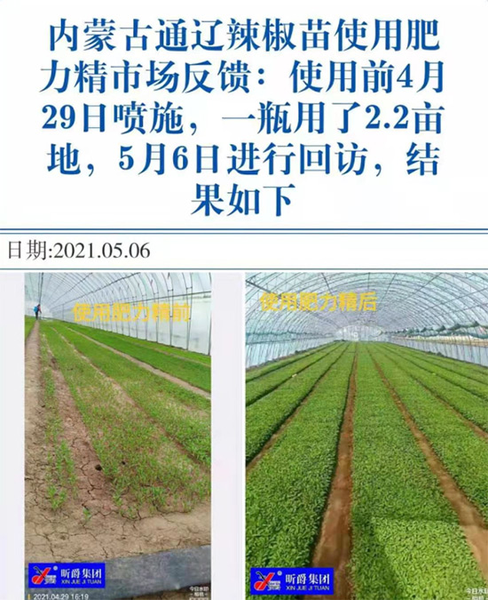 玉米追肥復合肥好還是尿素好?很多人都錯了!它才是正確選擇