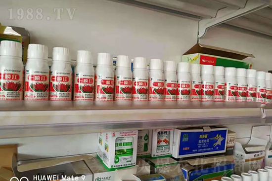 增紅率提高95%!催紅不落葉!收入翻幾番!就用辣椒一噴紅!