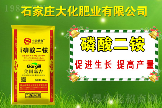 戰(zhàn)略合作再升級(jí)，石家莊大化肥業(yè)再次簽約1988.TV！