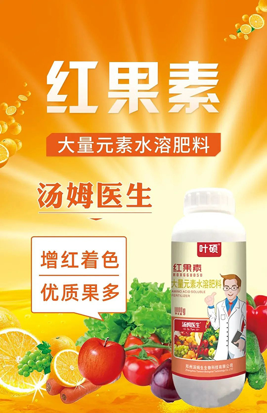 �t���ء�ֻ���D(zhu��n)ɫ�������D(zhu��n)ɫ���������߼t���ó