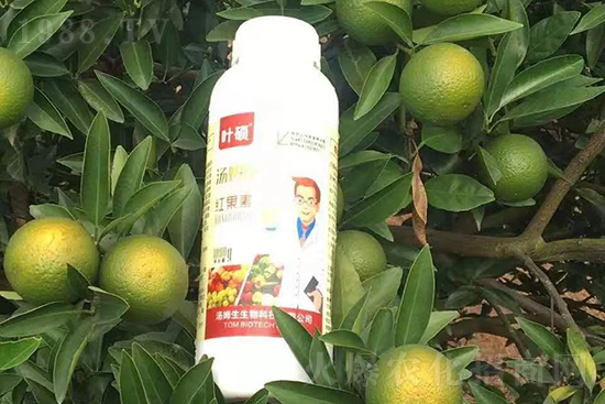 �t���ء�ֻ���D(zhu��n)ɫ�������D(zhu��n)ɫ�졢�����߼t���ó���