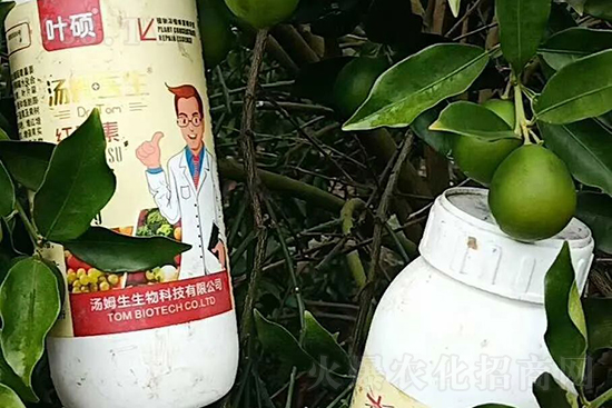 �t���ء�ֻ���D(zhu��n)ɫ�������D(zhu��n)ɫ���������߼t���ó