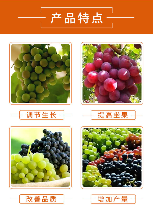 �ό�-�������_03