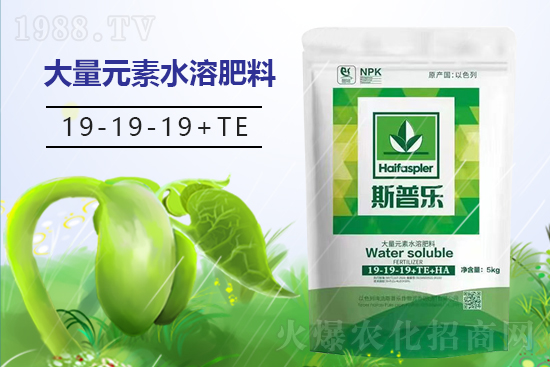 ˹�՘�����I�B(y��ng)�����u�����޹�˾4