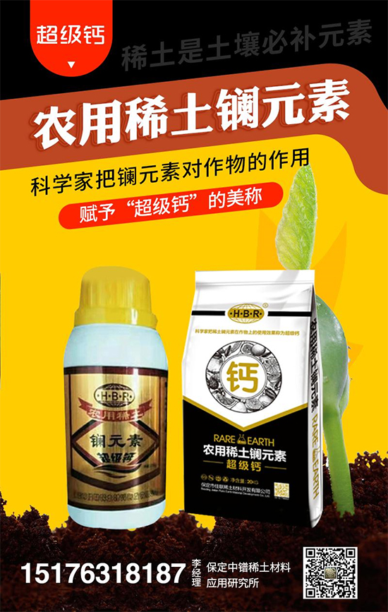 �������ϡ�����ϑ����о���11