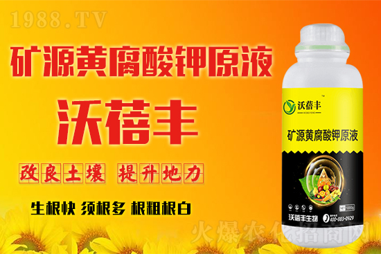 �����������S����Ƽ����޹�˾4