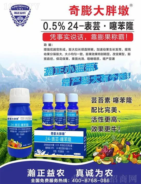 ������ֶ�