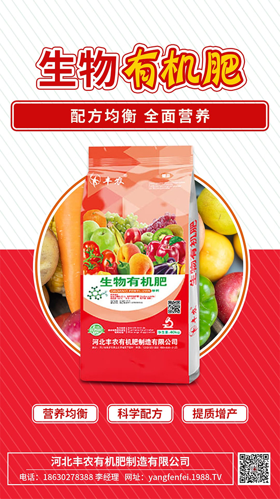 �ӱ��S�r�ЙC���������޹�˾1