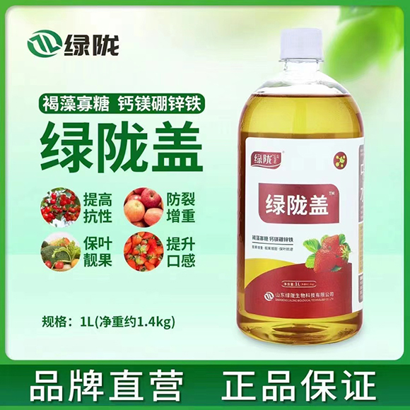 ��������}�V���\�F-�G�]�w-�G�]����2