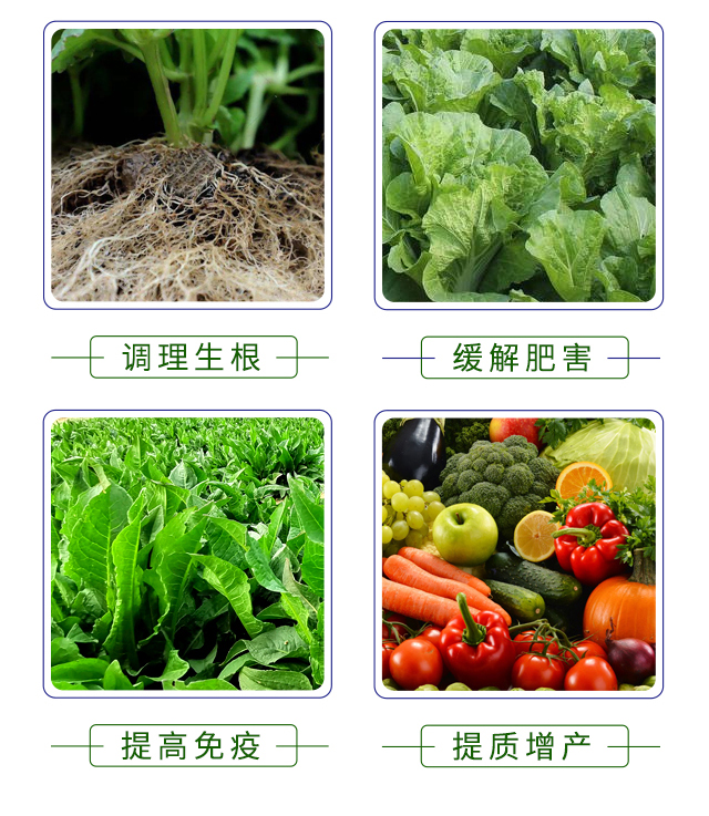 ��Դ���r-��ϲ��_05