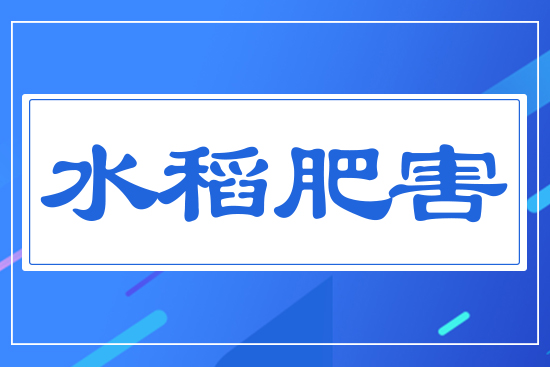 水稻肥害