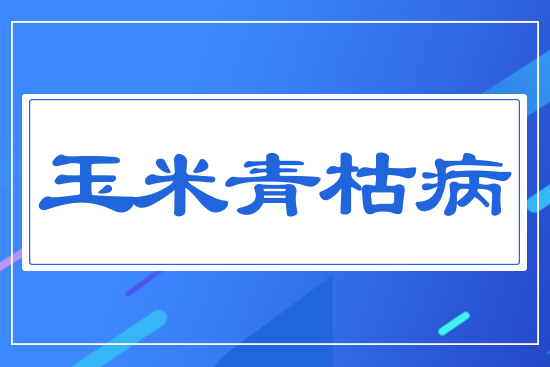 ������ݲ�