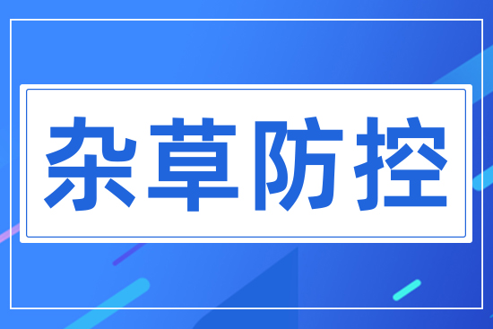 �s�ݷ���