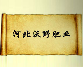 �ӱ���Ұ�ʘI(y��)���޹�˾