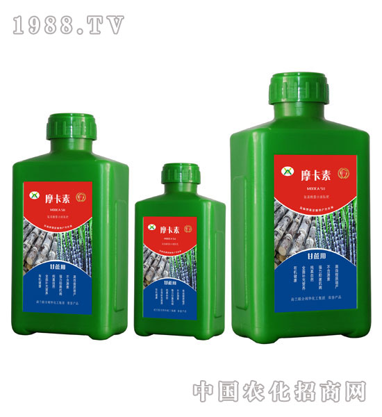 ���ጣ�ð���������Һ�ķ�-Ħ����-��(qi��ng)о���H