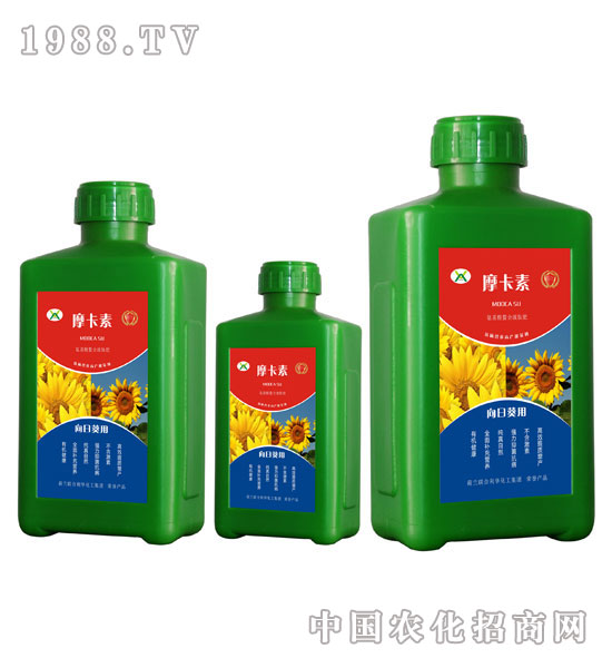 ���տ����ð���������Һ�ķ�-Ħ����-��о���H