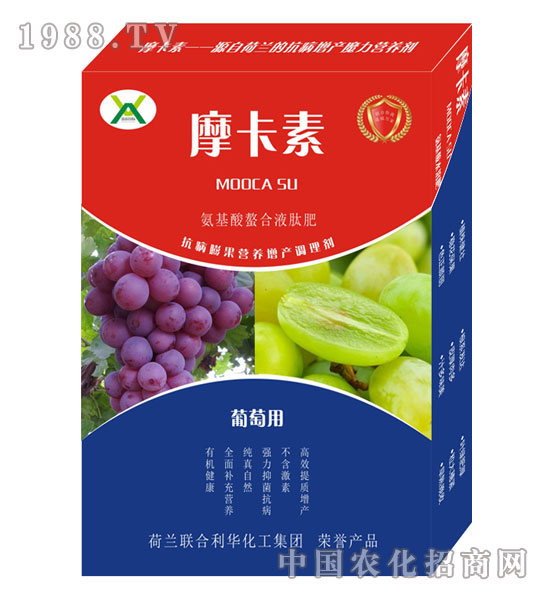 ���ь��ð���������Һ�ķ�-Ħ����-��(qi��ng)о��(gu��)�H