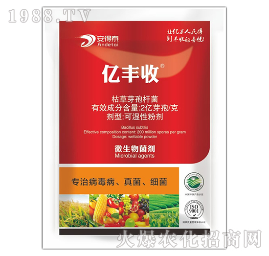 ���β������������-�|�S��-����̩