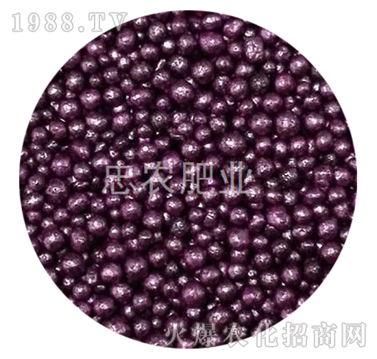 紫紅色樹脂包衣有機(jī)肥-忠農(nóng)肥業(yè)