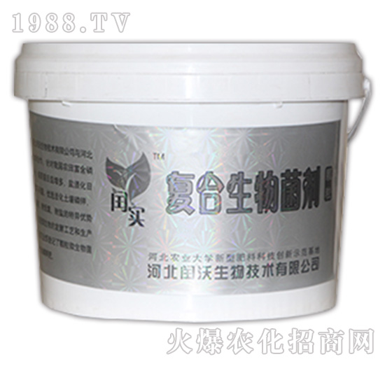 �ͺ��������-�c��