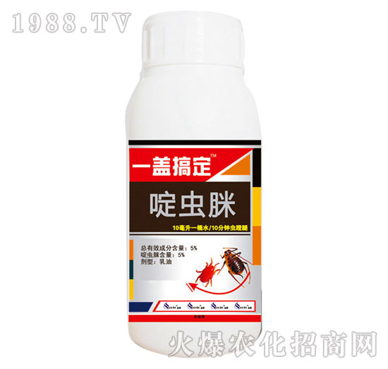 5%��x��-һ�w�㶨-�읙����