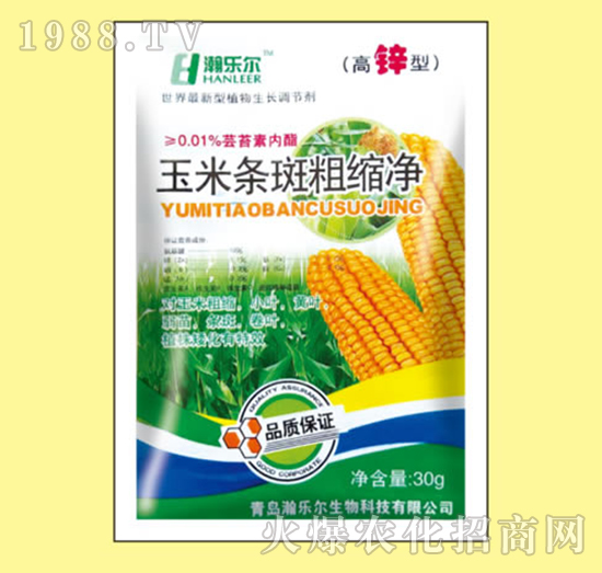 ���חl�ߴֿs��-嫘���