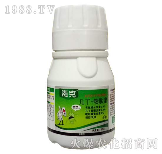 2.5%�׶���������-����-�o�r