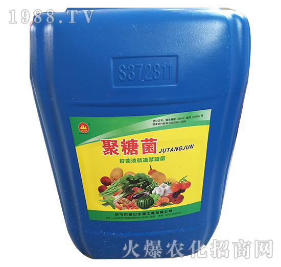 ���Ǿ�-��ɽ����