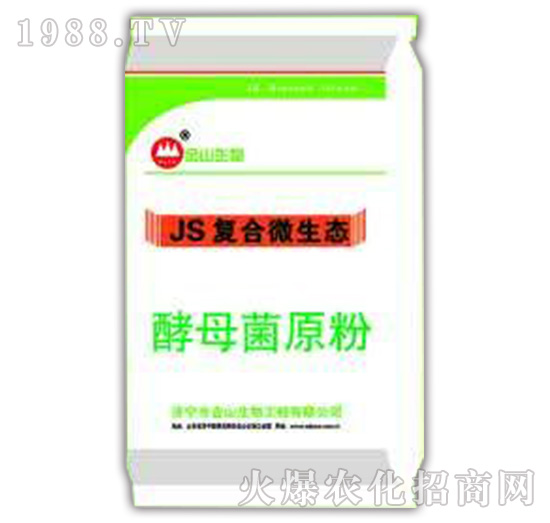 ��ĸ��ԭ��-JS��(f��)��΢���B(t��i)-��ɽ����