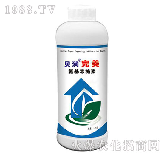 ����������-ؐ��(r��n)����-ɭ��