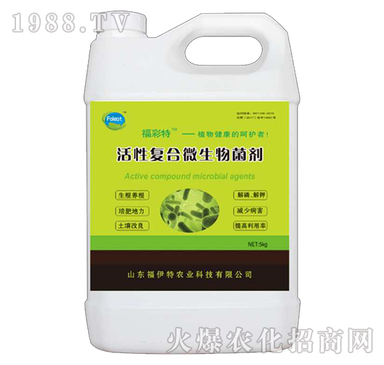 ���ԏ�(f��)��΢�������-������-������