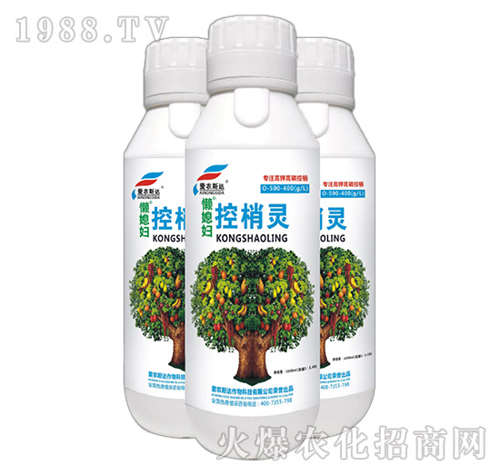 ��⛸��׿����`-��ϱ�D-���r(n��ng)˹�_